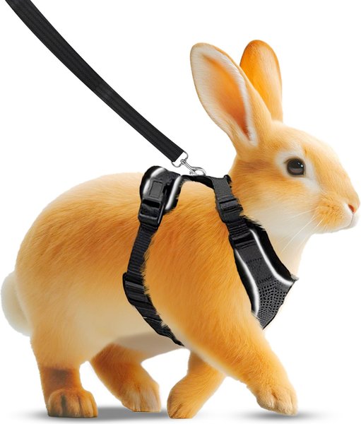 Show full view: Vila Adjustable Escape Proof Outdoor Walking Cat, Rabbit & Ferret Harness, Black, X-Small slide 2 of 4