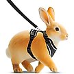 Show in main carousel: Vila Adjustable Escape Proof Outdoor Walking Cat, Rabbit & Ferret Harness, Black, X-Small slide 2 of 4