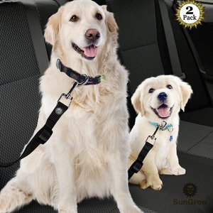 SunGrow Adjustable Safety Tether Dog & Cat Seat Belt Travel Accessories, 2 count, Black