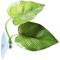 Show in main carousel: Vila African Dwarf Frog & Betta Bed Leaf Hammock with Suction Cups Fish Sleeping Pad Tank & Aquarium Plastic Plants, 3 count slide 2 of 7