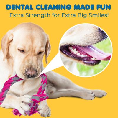 Show full view: SunGrow Aggressive Chewers Interactive Tug of War & Teething Dog Rope Toy, 2 Count slide 4 of 7