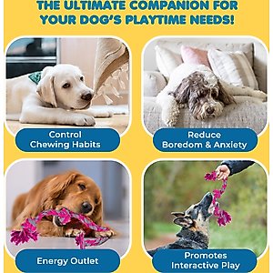 SunGrow Aggressive Chewers Interactive Tug of War & Teething Dog Rope Toy, 2 Count