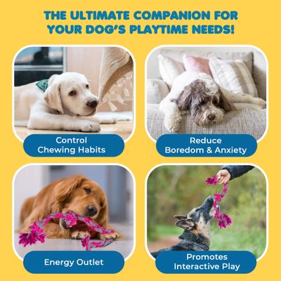 Show full view: SunGrow Aggressive Chewers Interactive Tug of War & Teething Dog Rope Toy, 2 Count slide 5 of 7