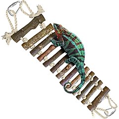 SunGrow Bearded Dragon & Leopard Gecko Wooden Ladder, Reptile Bridge Climbing Accessories