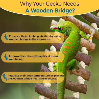 Show full view: SunGrow Bearded Dragon & Leopard Gecko Wooden Ladder, Reptile Bridge Climbing Accessories slide 2 of 5