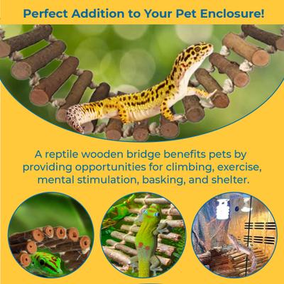 Show full view: SunGrow Bearded Dragon & Leopard Gecko Wooden Ladder, Reptile Bridge Climbing Accessories slide 3 of 5