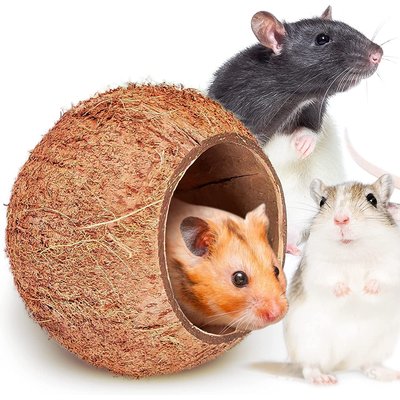 SunGrow SunGrow Bedding & Sand Bath Container Cozy Hideout Coconut Hut Small-Pet Litter Box