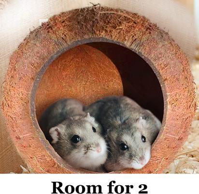 Show full view: SunGrow Bedding & Sand Bath Container Cozy Hideout Coconut Hut Small-Pet Litter Box slide 3 of 8