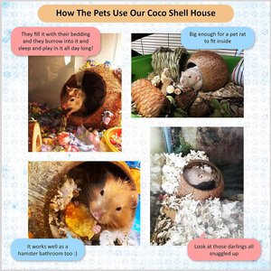 SunGrow Bedding & Sand Bath Container Cozy Hideout Coconut Hut Small-Pet Litter Box