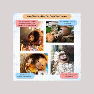 Show full view: SunGrow Bedding & Sand Bath Container Cozy Hideout Coconut Hut Small-Pet Litter Box slide 4 of 8