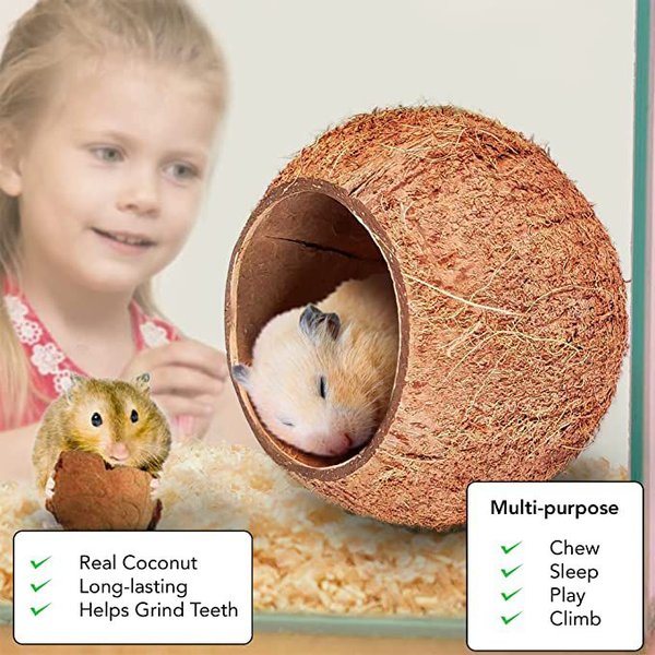 SunGrow Hermit Crab Hut Cozy Crabitat Coconut Shell With