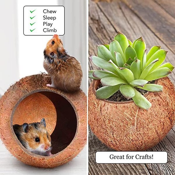 SunGrow Bedding & Sand Bath Container Cozy Hideout Coconut Hut Small-Pet Litter Box