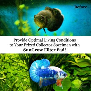 SunGrow Betta Aquarium & Koi Pond Polishing Filter Floss, Media Pad for Fish Tank Cartridge 