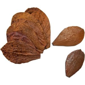 SunGrow Betta Fish Indian Almond Leaves, Water Conditioner & Tank Treatment for Freshwater Aquarium