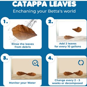 SunGrow Betta Fish Indian Almond Leaves, Water Conditioner & Tank Treatment for Freshwater Aquarium