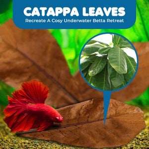SunGrow Betta Fish Indian Almond Leaves, Water Conditioner & Tank Treatment for Freshwater Aquarium