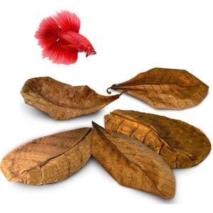 SunGrow Betta Fish Indian Almond Leaves, Water Conditioner & Tank Treatment for Freshwater Aquarium