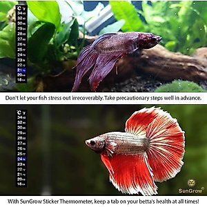 SunGrow Betta Fish Thermometer Sticker, Temperature Strip for Small Aquarium & Reptiles Tank