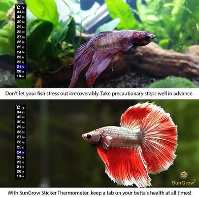 Show full view: SunGrow Betta Fish Thermometer Sticker, Temperature Strip for Small Aquarium & Reptiles Tank slide 4 of 8