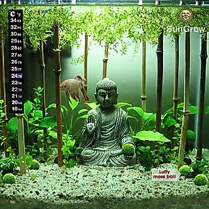SunGrow Betta Fish Thermometer Sticker, Temperature Strip for Small Aquarium & Reptiles Tank