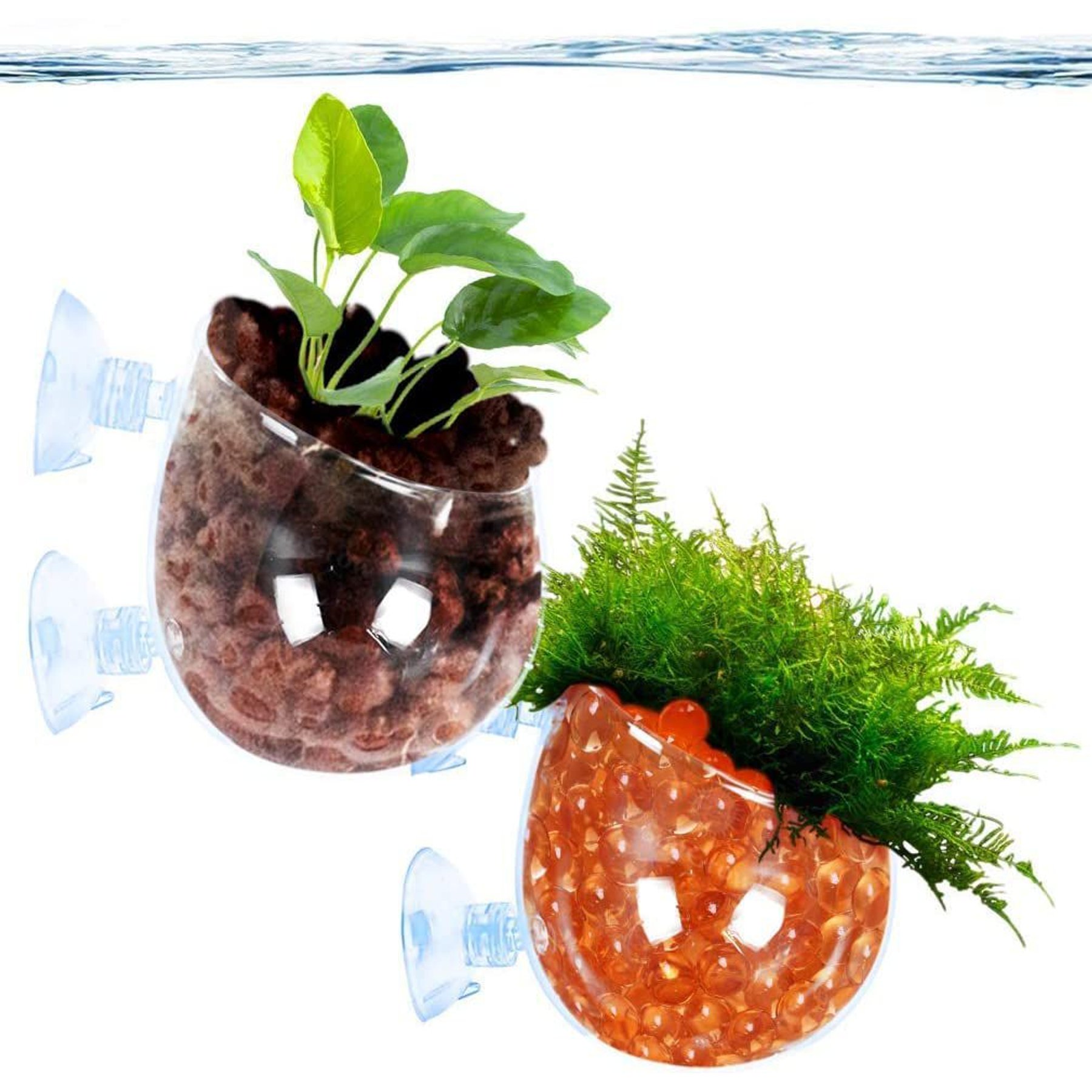 SunGrow Betta & Turtle Glass Pot for Aquarium Live Plant Reptile Terrarium Tank Decor, 2 count