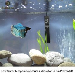 SunGrow Betta & Turtle Submersible Aquarium Tank Water Heater with Thermostat, 10-watt, up to 5-gal slide 2 of 6