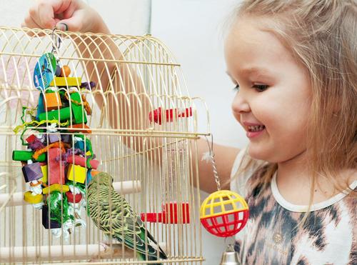 Show full view: SunGrow Bird Chew Toy, Medium & Large Parrot Foraging Blocks for Cage slide 3 of 8