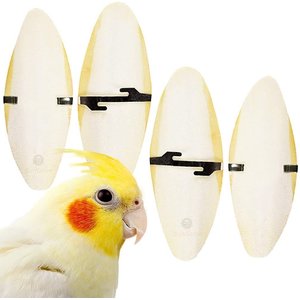 SunGrow Bird Cuttlebones Calcium Health Cockatiels & Parakeets Food, 6-in, 4 count