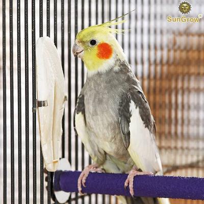 Show full view: SunGrow Bird Cuttlebones Calcium Health Cockatiels & Parakeets Food, 6-in, 4 count slide 3 of 6