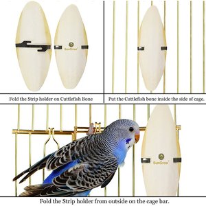 SunGrow Bird Cuttlebones Calcium Health Cockatiels & Parakeets Food, 6-in, 4 count