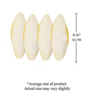 Show full view: SunGrow Bird Cuttlebones Calcium Health Cockatiels & Parakeets Food, 6-in, 4 count slide 5 of 6