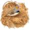 Show in main carousel: SunGrow Bird Nesting Coconut Fiber, Bedding Material for Parakeet & Finch Nest Box slide 1 of 5