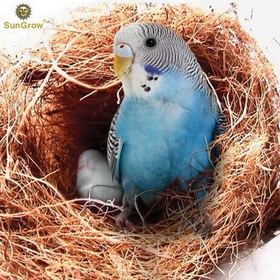 Show full view: SunGrow Bird Nesting Coconut Fiber, Bedding Material for Parakeet & Finch Nest Box slide 2 of 5