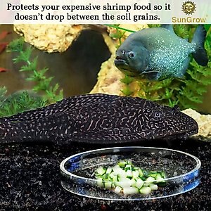 SunGrow Bottom Feeder & Shrimp Feeding Dish, Sinking Fish Food & Reptile Water Bowl