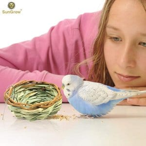 SunGrow Canary & Finch Nesting Material in Bird Cage Handmade Grass Basket, 4-in diameter
