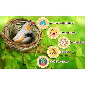 SunGrow Canary & Finch Nesting Material in Bird Cage Handmade Grass Basket, 4-in diameter