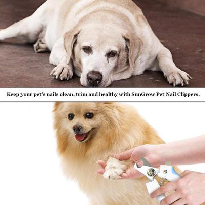 Show full view: SunGrow Dog Nail Trimmers & File Set, Clippers for Claw Care & Small Pet Grooming slide 5 of 7