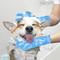 Show in main carousel: SunGrow Cat & Dog Washing Gloves, Pet Grooming Silicone Bath Scrubber & Massager Brush, Household Cleaning Supplies slide 2 of 8