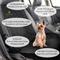 Show in main carousel: SunGrow Cat & Dog Waterproof Front Seat Cover & Scratch Protector, Pet Travel Car Accessories  slide 3 of 7