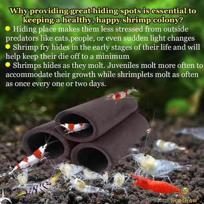 Show full view: SunGrow Ceramic Shrimp & Betta Fish Hides for Aquarium, Breeding & Spawning Tube Tunnel, 3 count slide 4 of 6