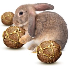 SunGrow Coconut Fiber Rabbit & Guinea Pigs Chew & Exercise Balls Teeth Grinding Treat, 3 count