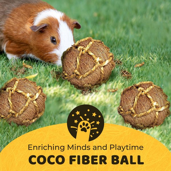 SunGrow Coconut Fiber Rabbit & Guinea Pigs Chew & Exercise Balls Teeth Grinding Treat