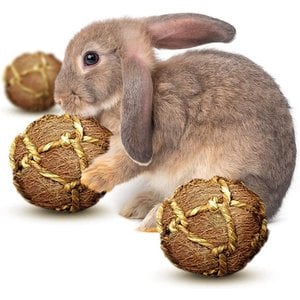 SunGrow Coconut Fiber Rabbit & Guinea Pigs Chew & Exercise Balls Teeth Grinding Treats, 6 count