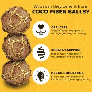 SunGrow Coconut Fiber Rabbit & Guinea Pigs Chew & Exercise Balls Teeth Grinding Treats, 6 count