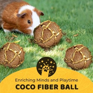 SunGrow Coconut Fiber Rabbit & Guinea Pigs Chew & Exercise Balls Teeth Grinding Treats, 6 count