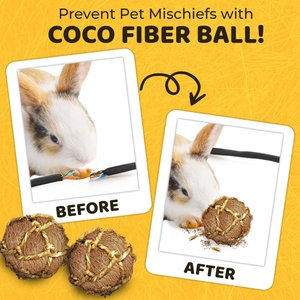 SunGrow Coconut Fiber Rabbit & Guinea Pigs Chew & Exercise Balls Teeth Grinding Treats, 6 count