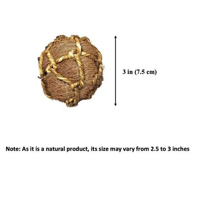 Show full view: SunGrow Coconut Fiber Rabbit & Guinea Pigs Chew & Exercise Balls Teeth Grinding Treats, 6 count slide 6 of 8
