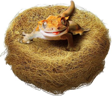 Show full view: SunGrow Coconut Fiber Substrate for Gecko & Hermit Crab, Snake Bedding for Reptile Terrarium slide 1 of 6