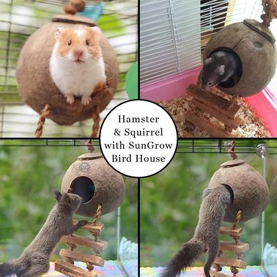 Show full view: SunGrow Coconut Shell Nest & Window Feeder with Ladder Perch Cage Accessory & Hanging Parakeet, Finch & Budgie Bird House slide 4 of 7