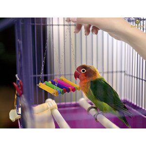 SunGrow Colorful Wooden Parakeet & Budgie Bird Cage Hanging Hammock Swing & Perch